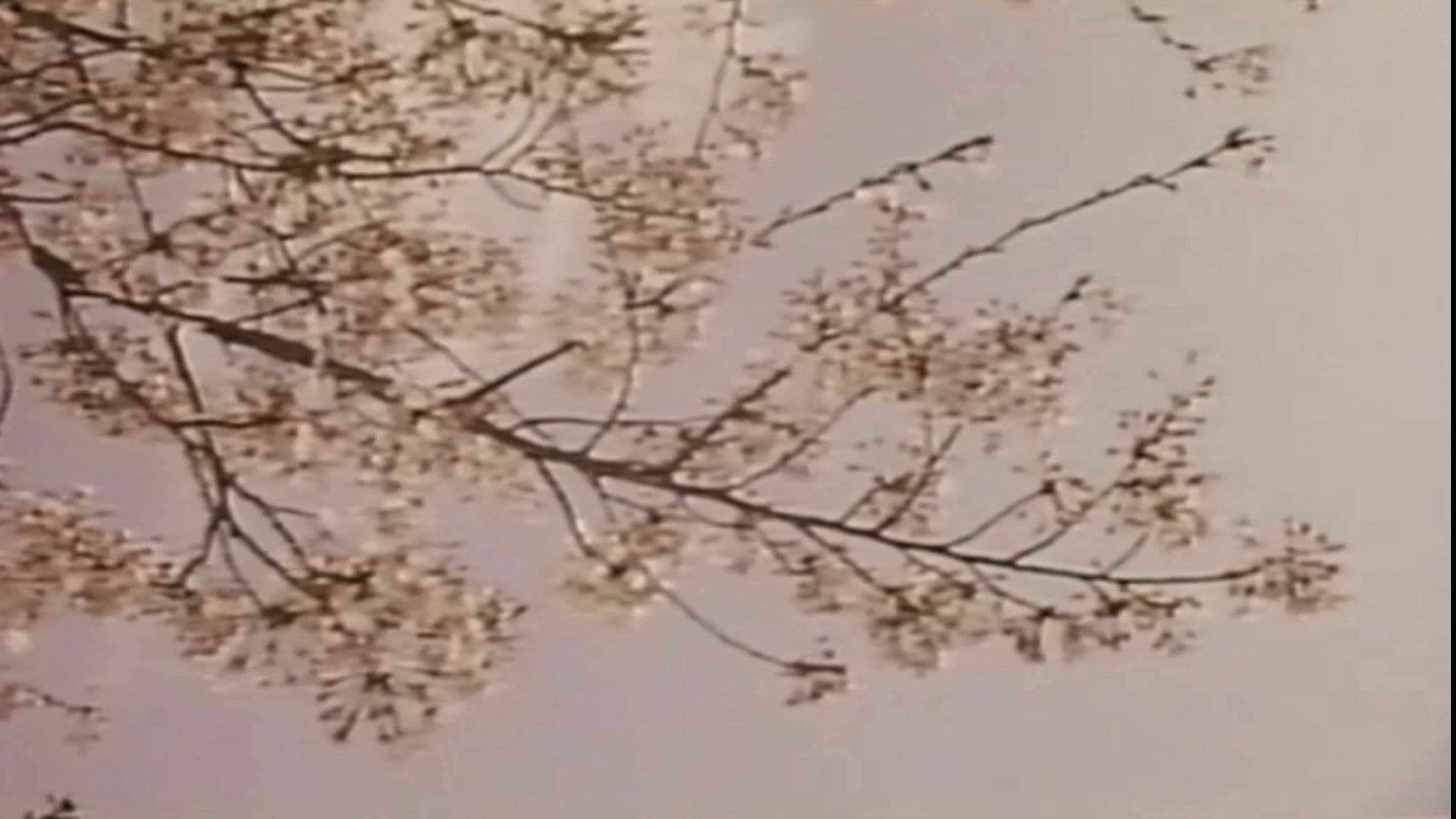 若奥様　太股びらき