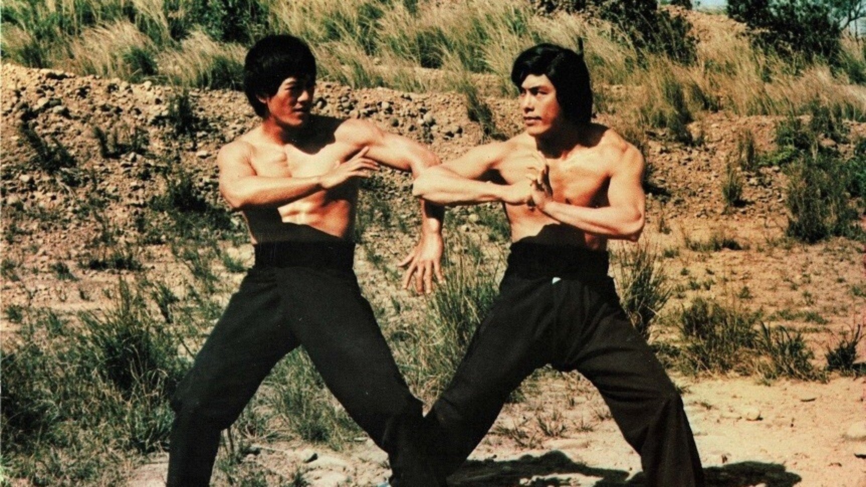 Bruce Lee - Das Geheimnis der Todeskralle