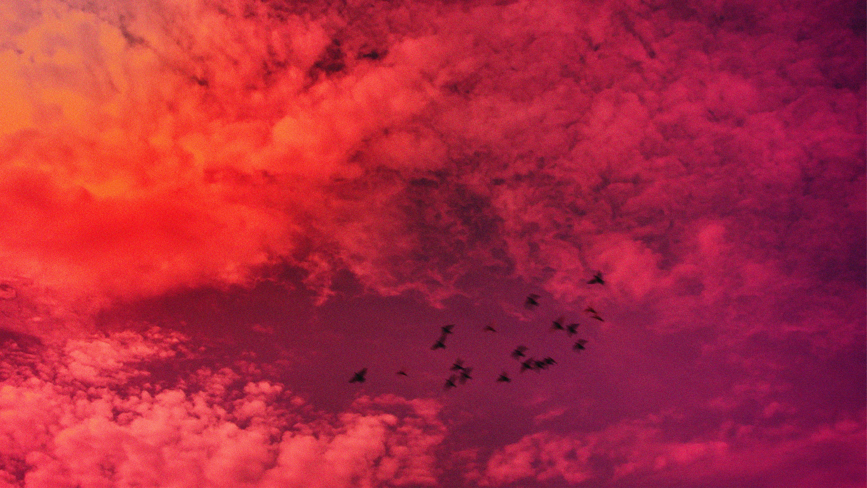 Taking my Time to Dance