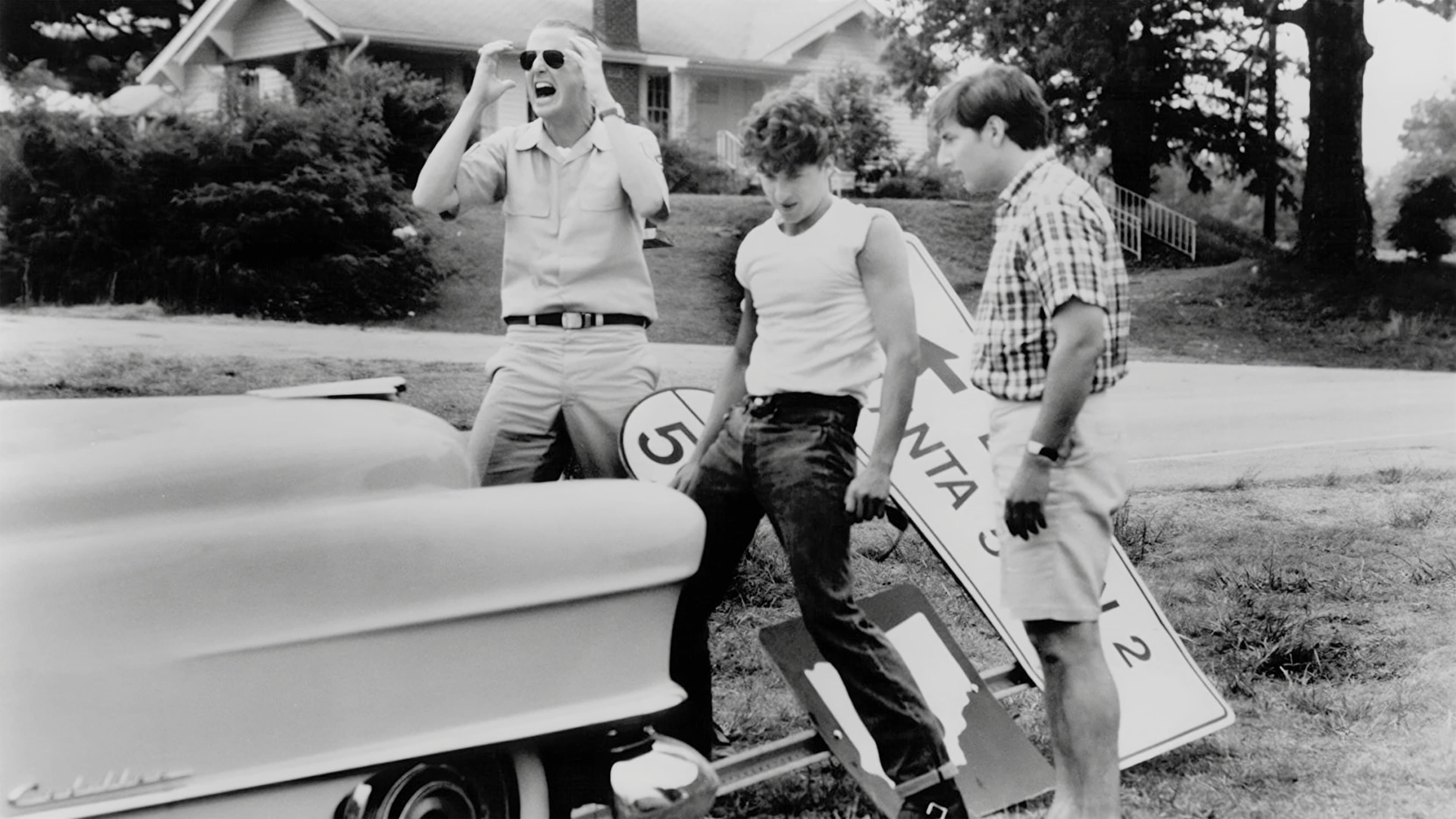 Wild Boys – Der Sommer ihres Lebens