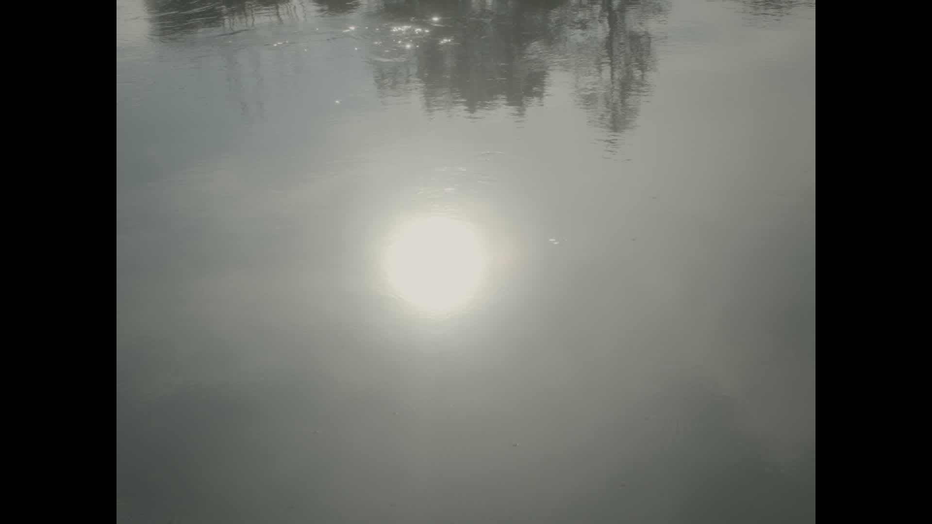 Les fées sont-elles réelles ?