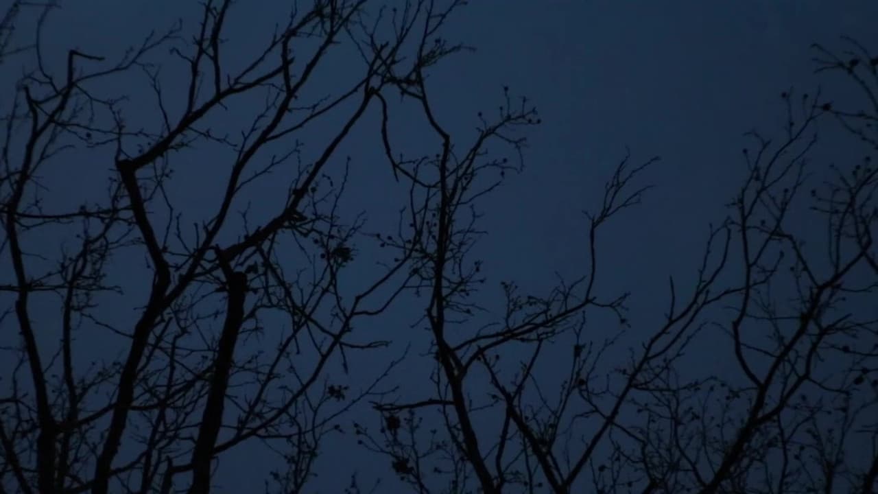 Ode to Big Booty Bitches