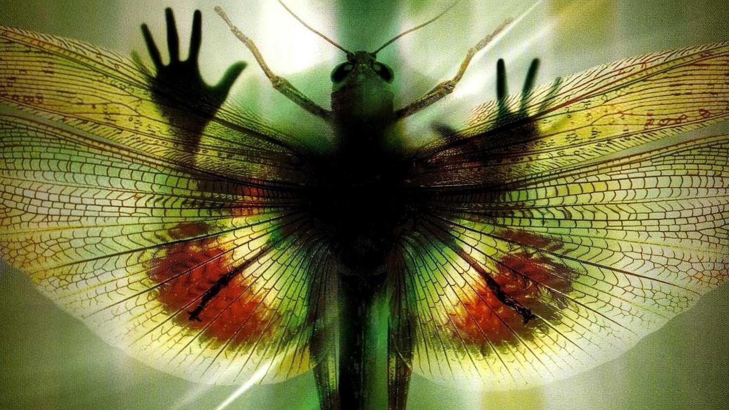 Insects - Die Brut aus dem All