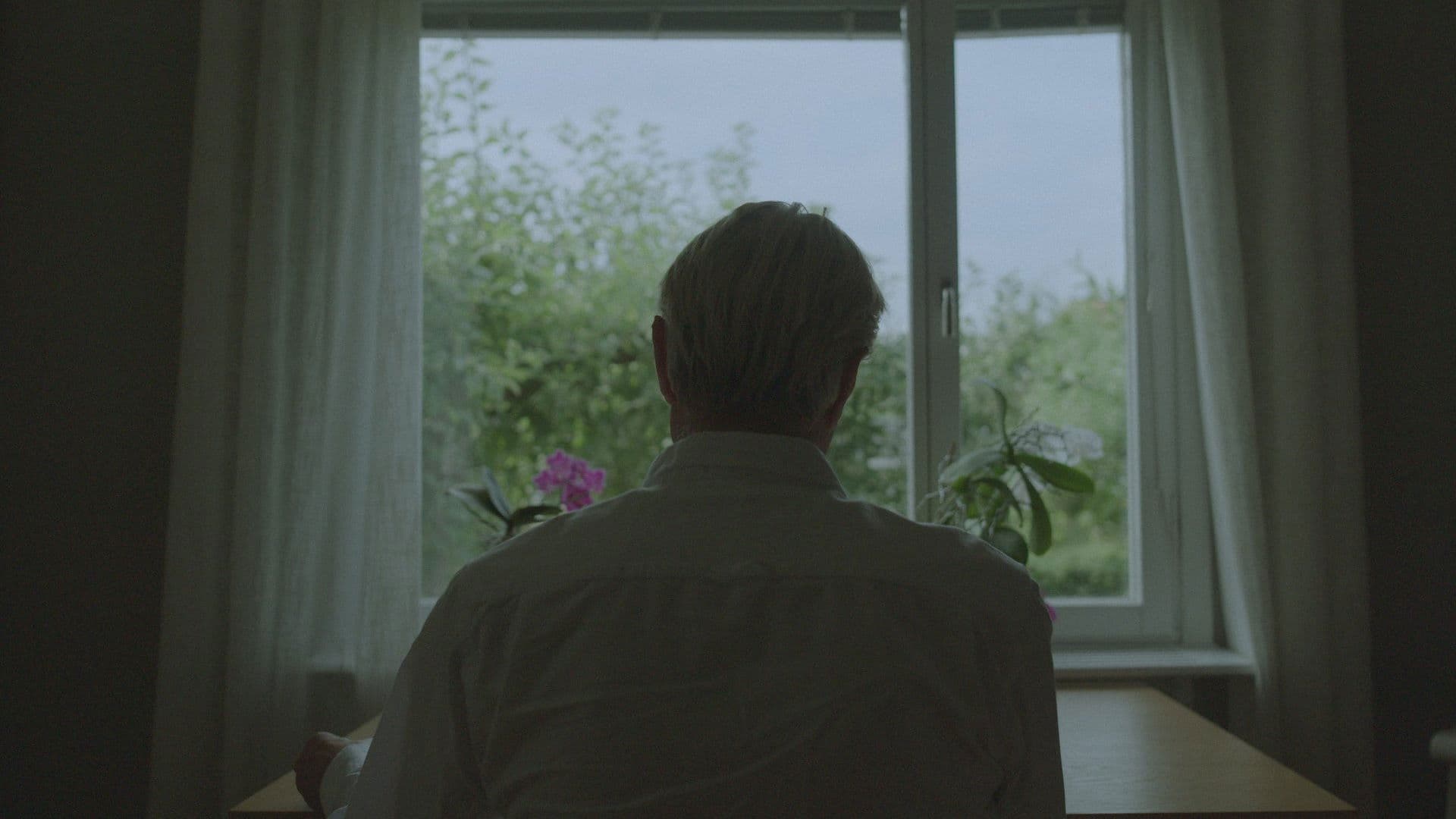 Styckmordet ingen vill lösa