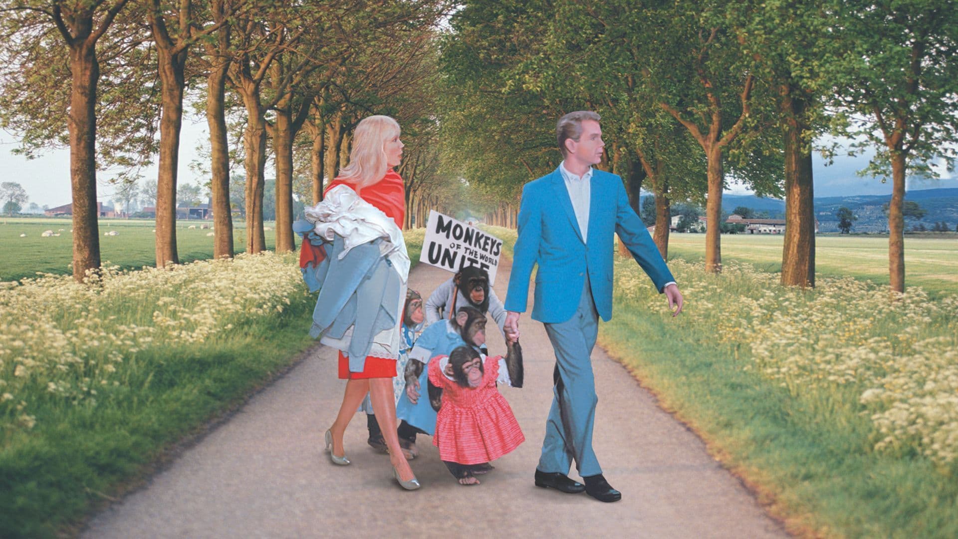 Schmeißt die Affen raus