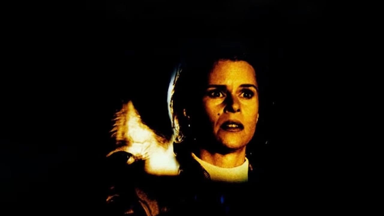 Midnight Flight - Albtraum Airport