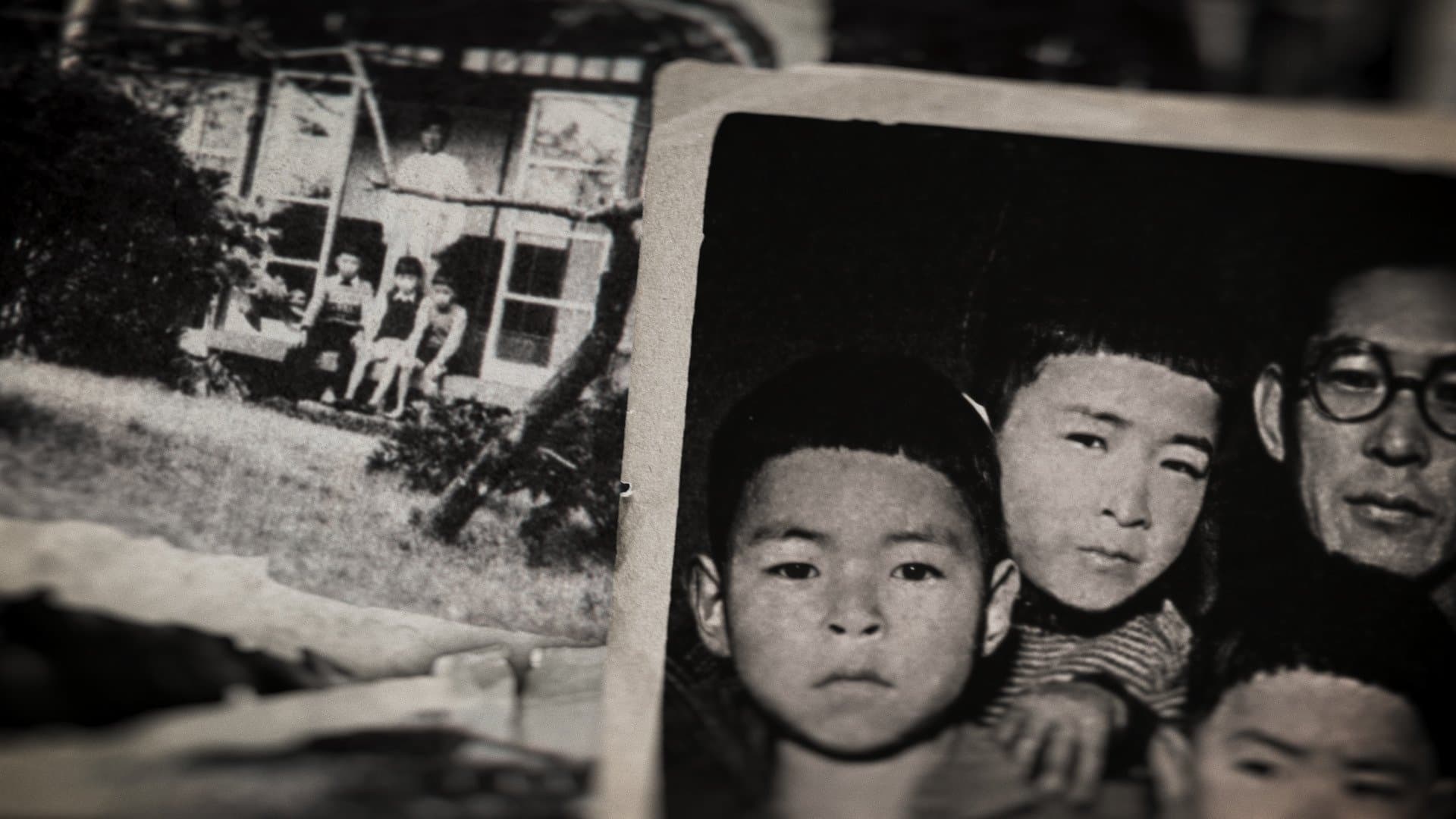 Miyazaki - Die Natur im Blick