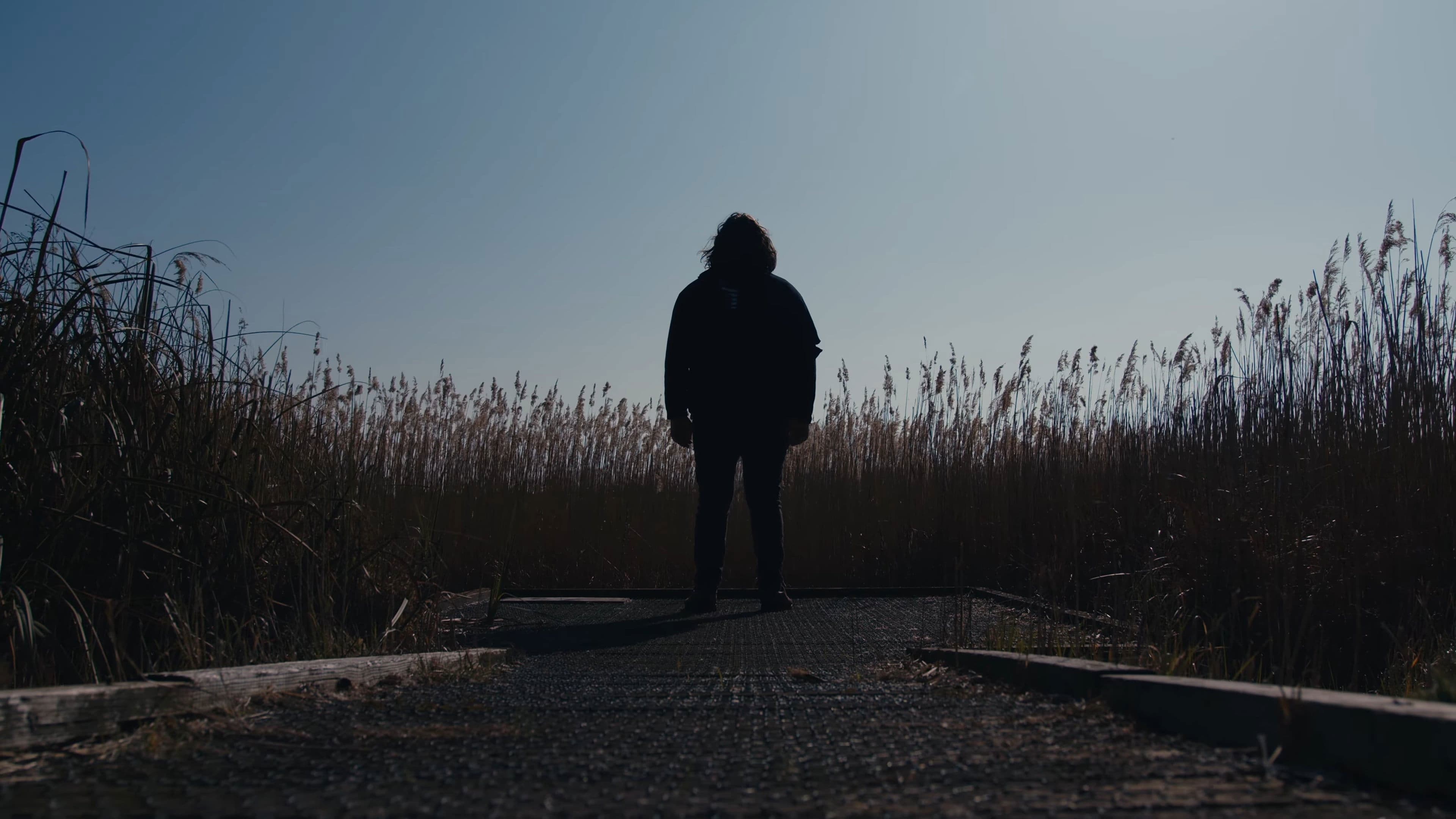 The Caricature: Requiem