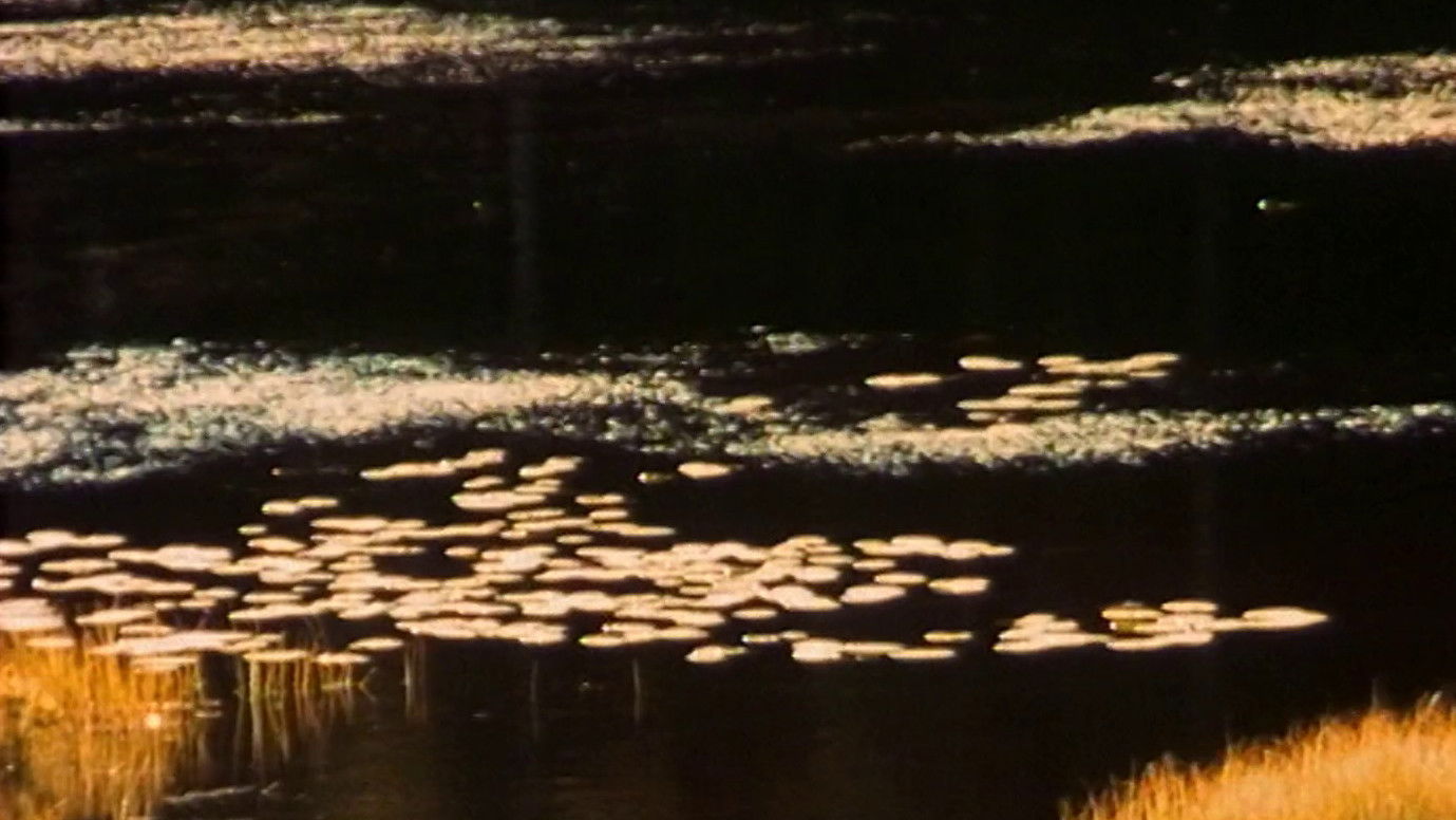 Det speglar i mitt öga