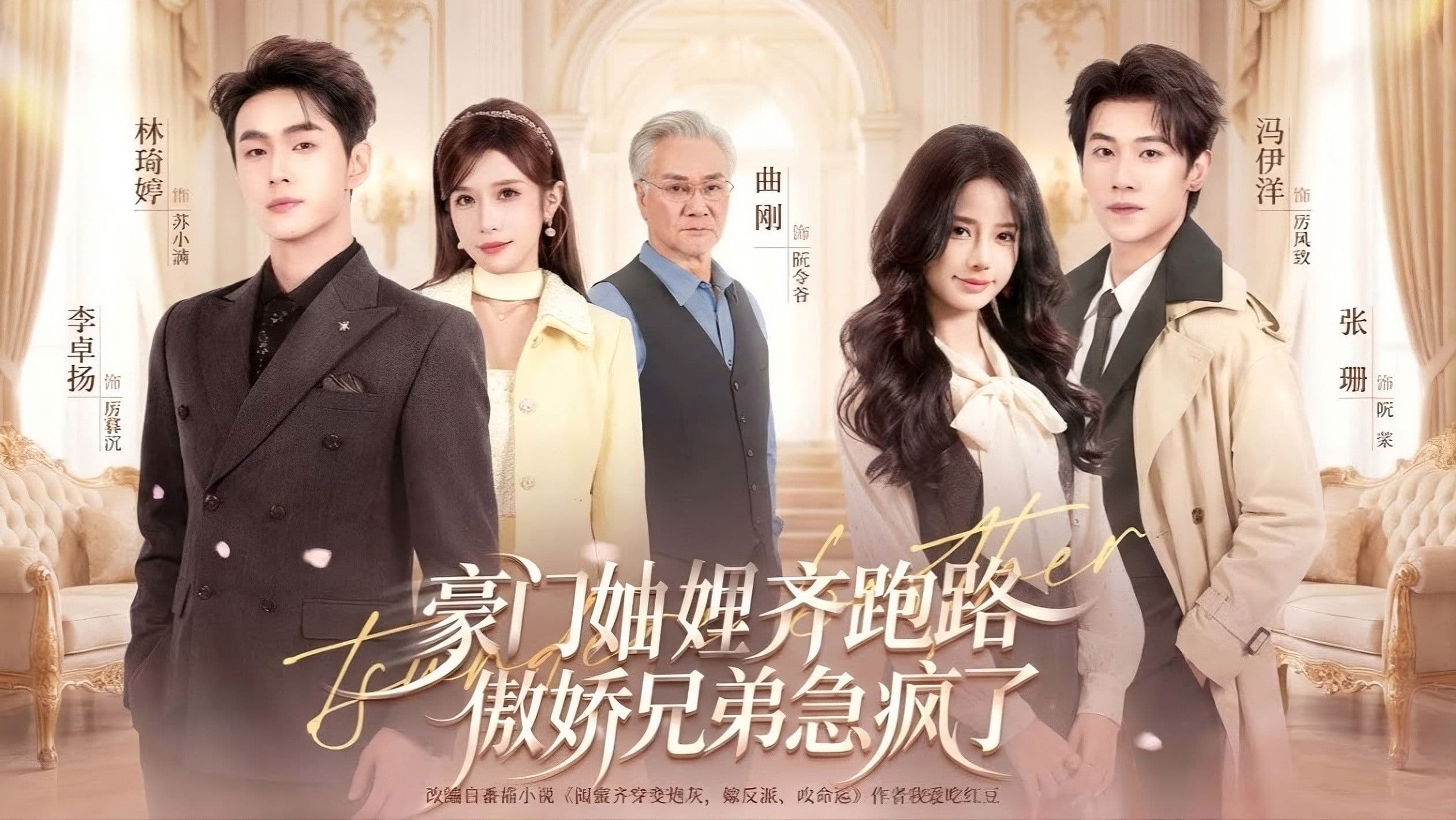 豪门妯娌齐跑路傲娇兄弟急疯了