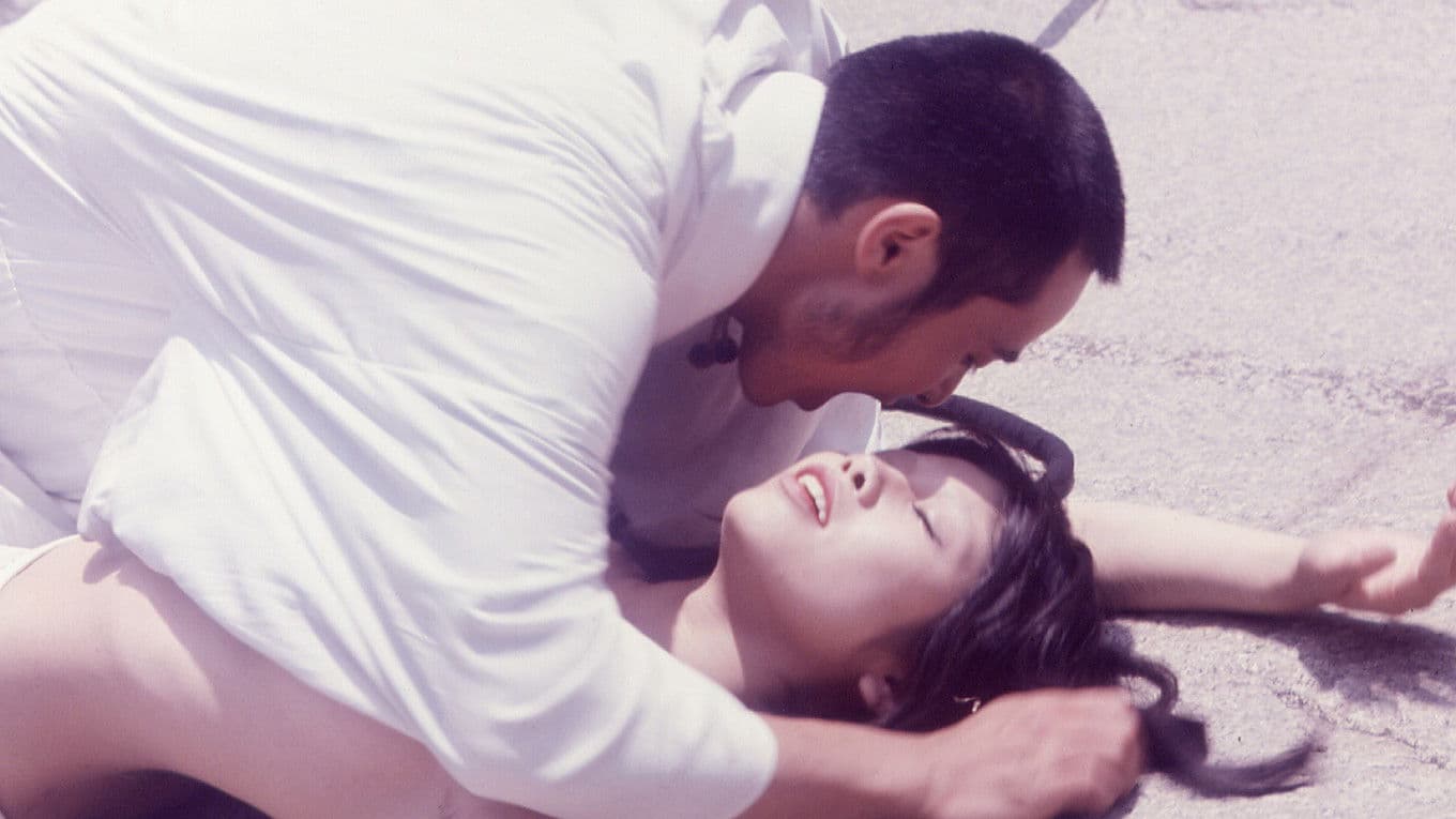 やくざ観音　情女仁義