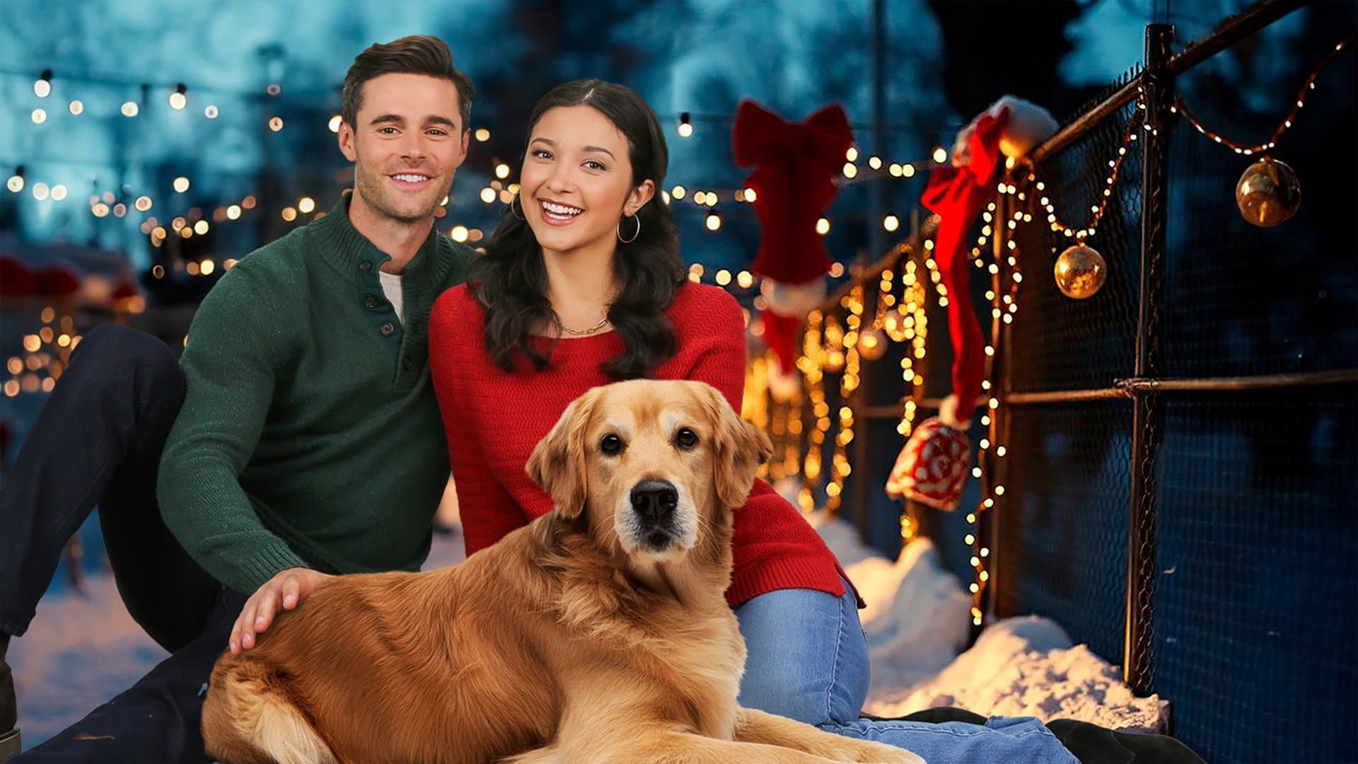 Weihnachtsglück mit Herz & Hund