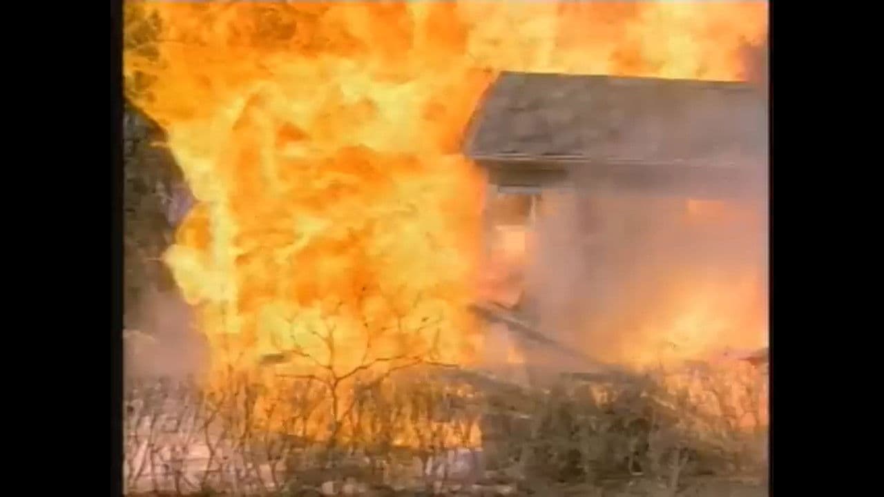 C.A.T. - Die Elite schlägt zurück