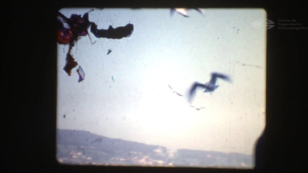 La casa de los Lupulos