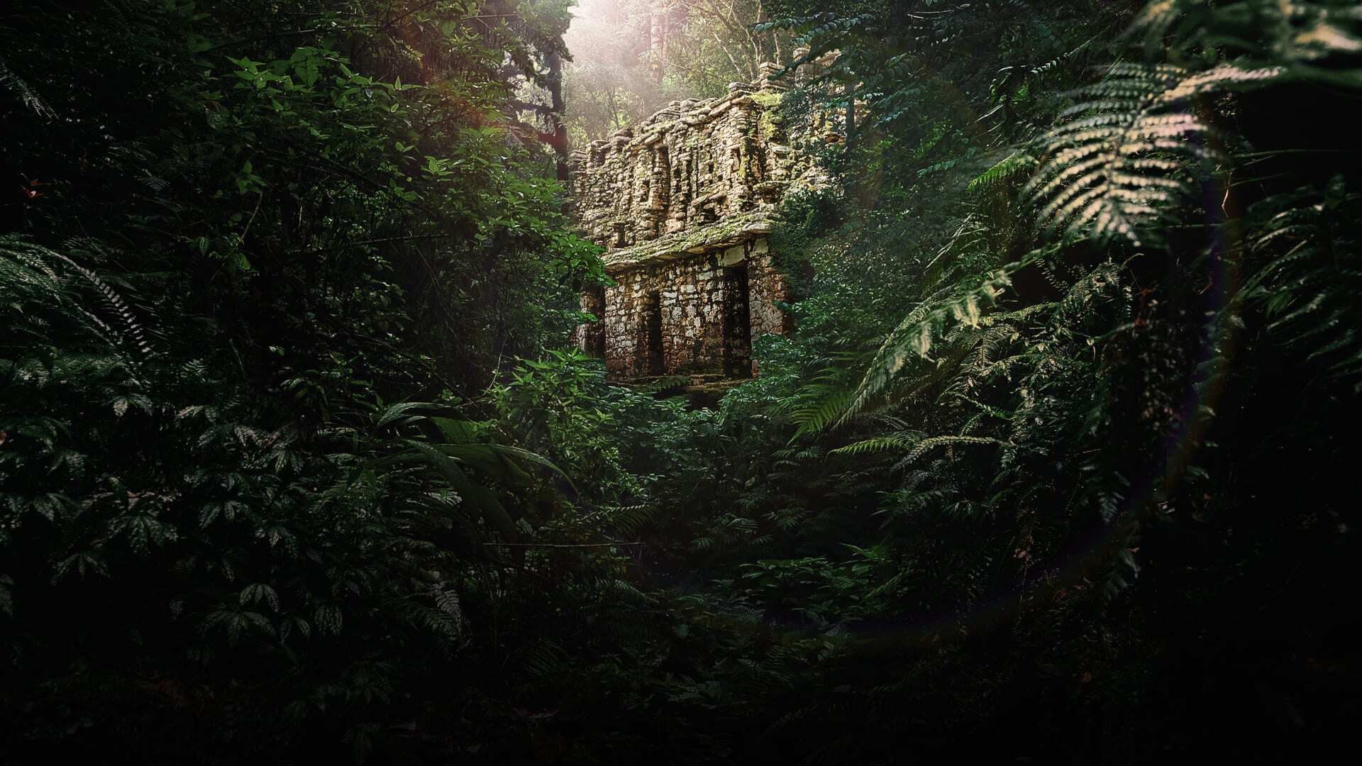 Der Fluch von Akakor - Der verlorene Schatz des Regenwaldes