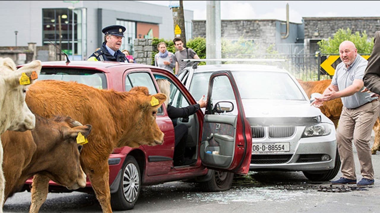 Halaleluja - Iren sind menschlich!