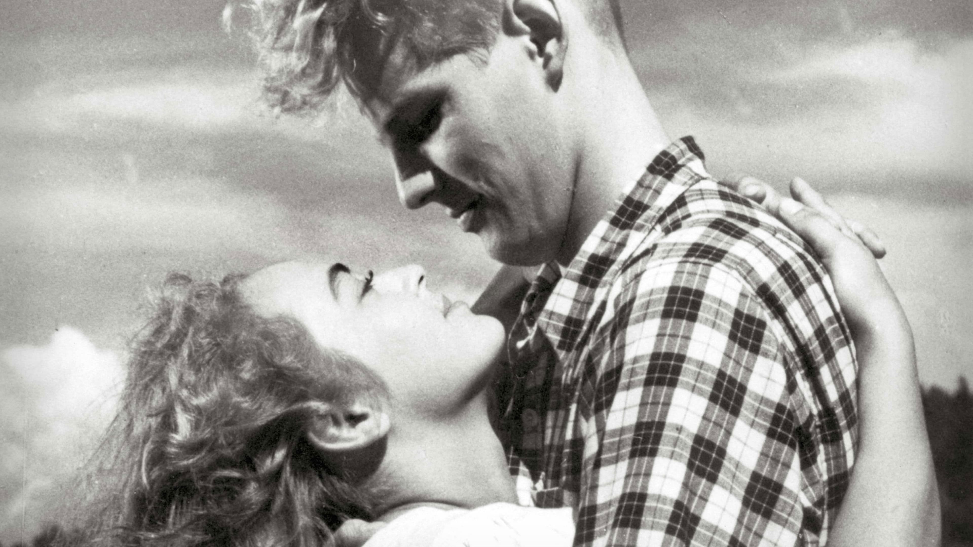 Liebe einer Sommernacht