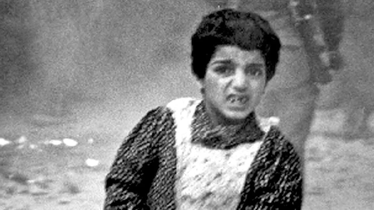 Der Kampf um Jerusalem