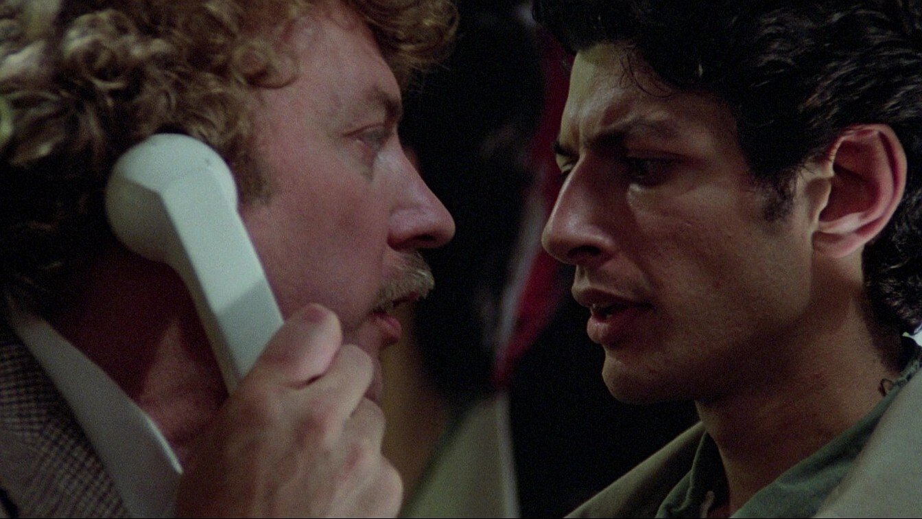 Die Körperfresser kommen