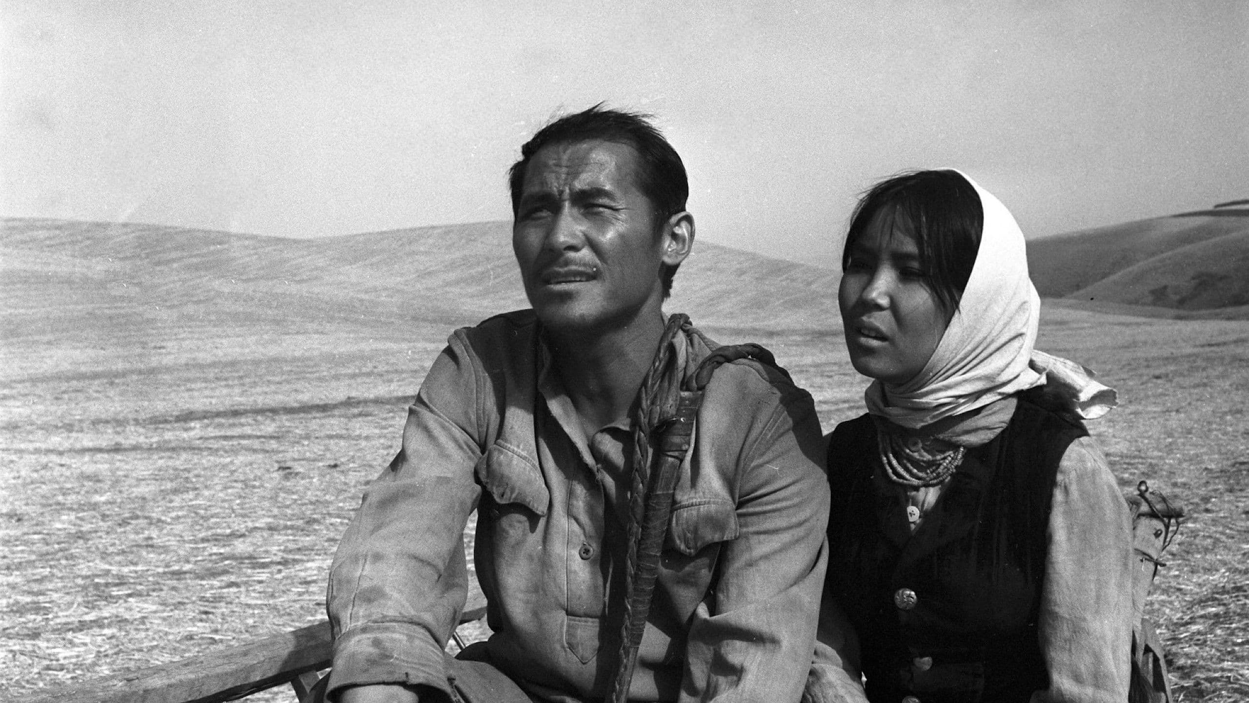 Sehnsucht nach Djamila