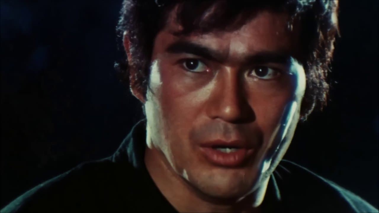 Sonny Chiba - Der unerbittliche Vollstrecker