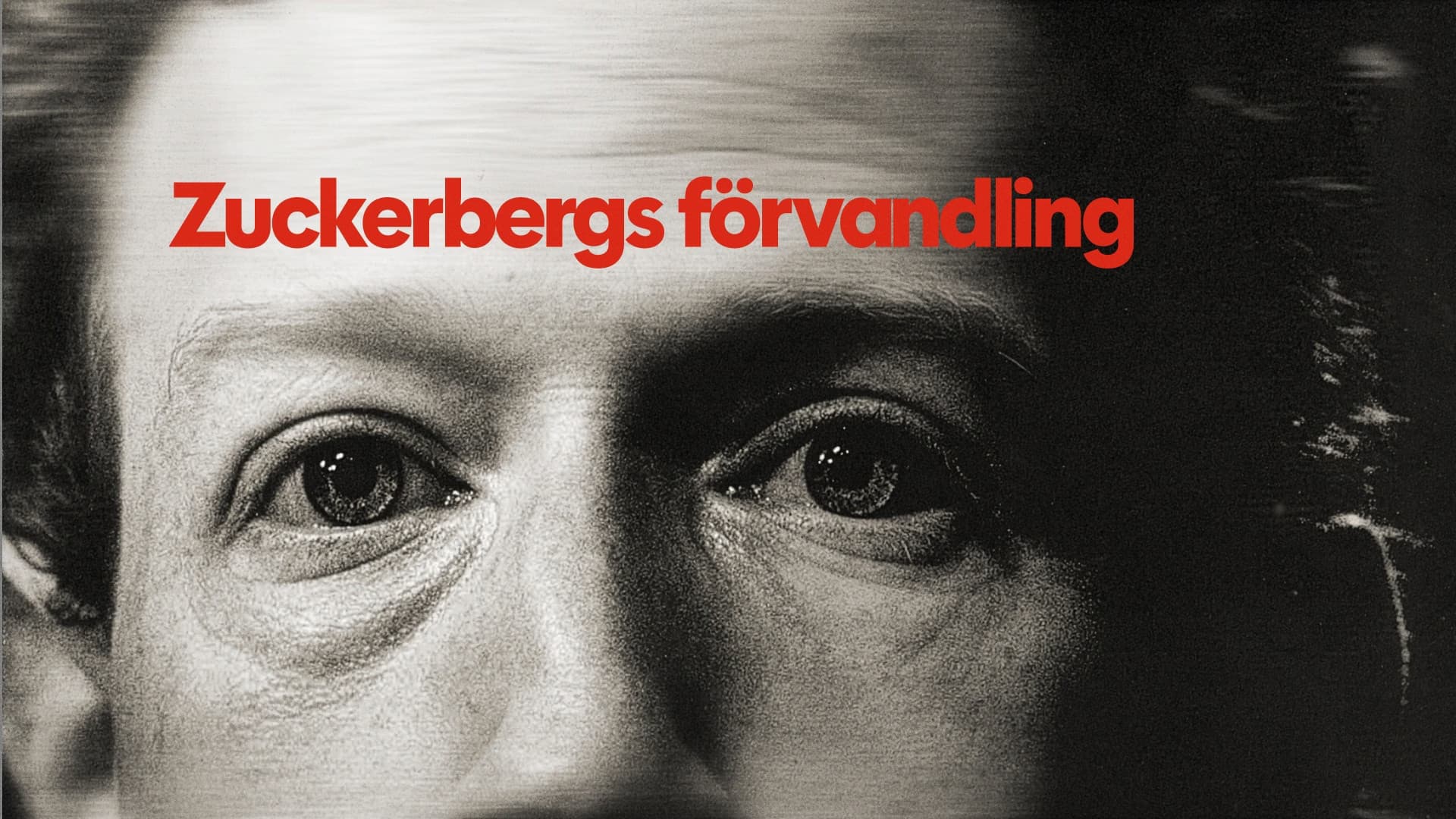 21h Médias : Méfiez-vous de Zuckerberg