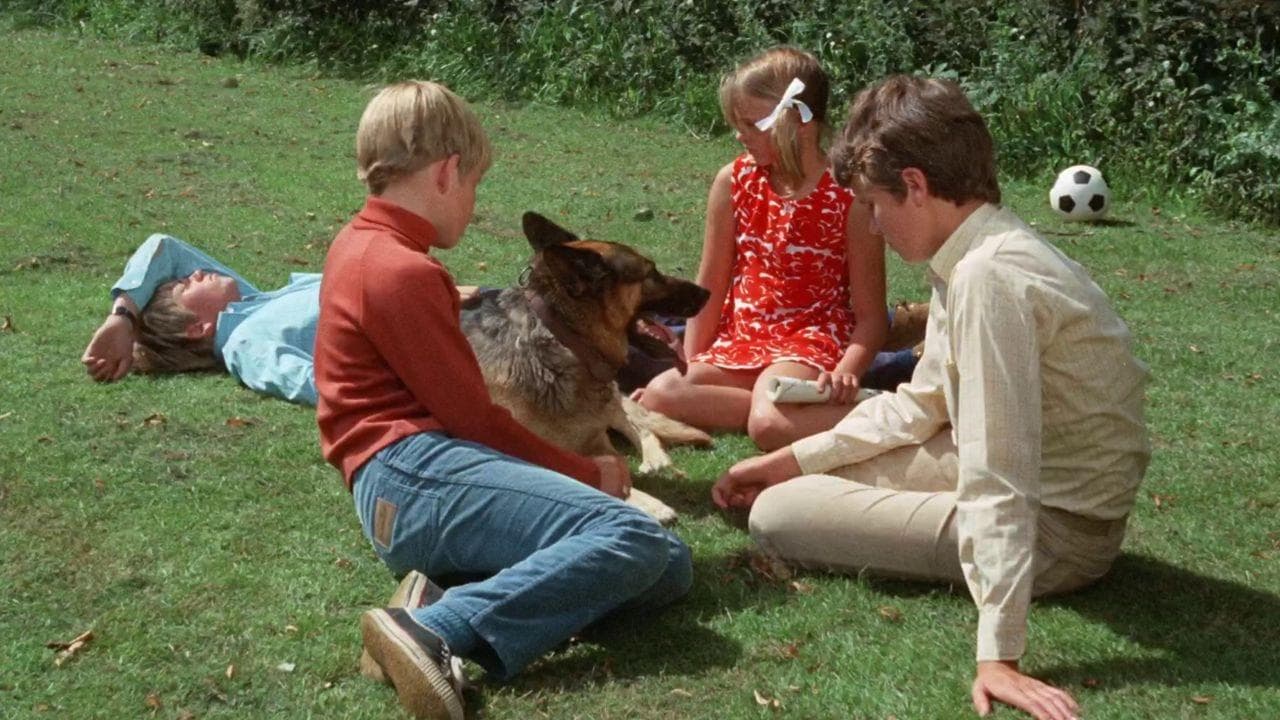 5 Freunde in der Tinte