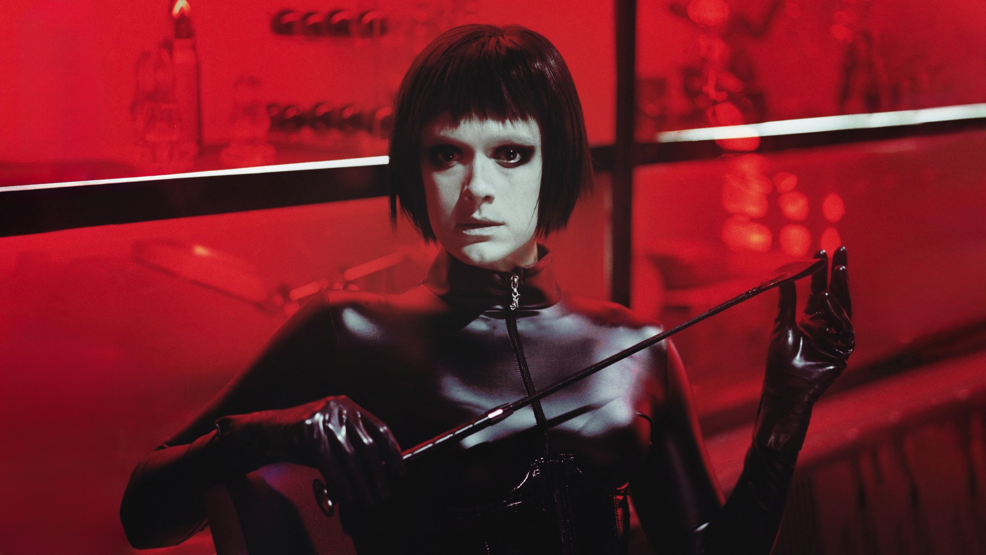 Dogs don't wear Pants