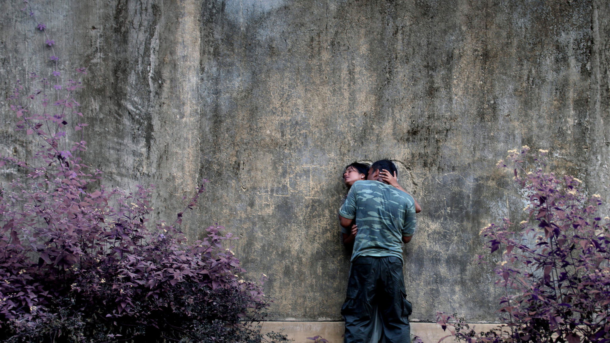 ඉගිල්ලෙන මාළුවෝ