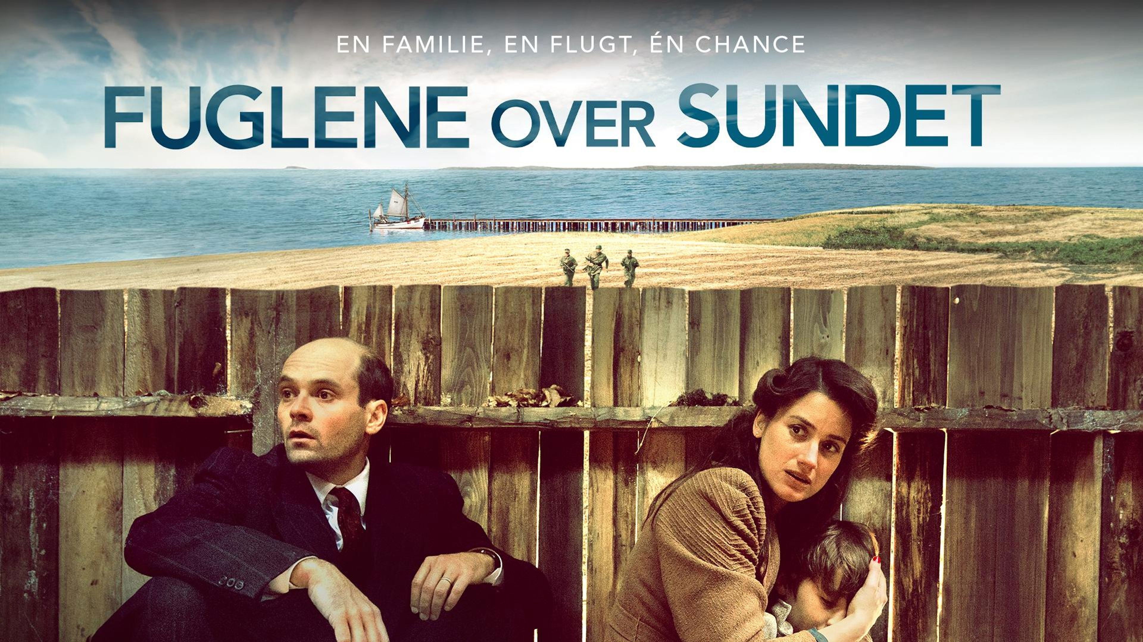 Die Vögel über dem Sund