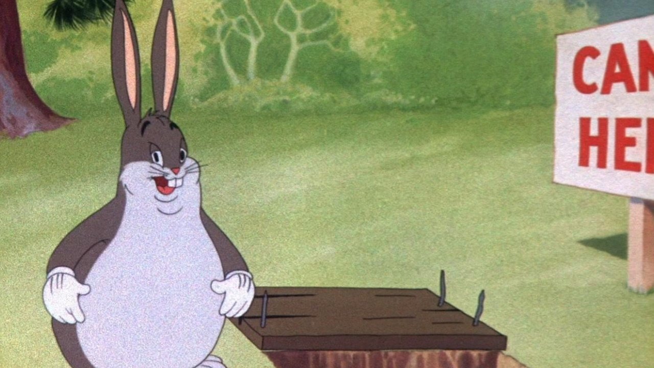 Immer Ärger mit dem Hasen