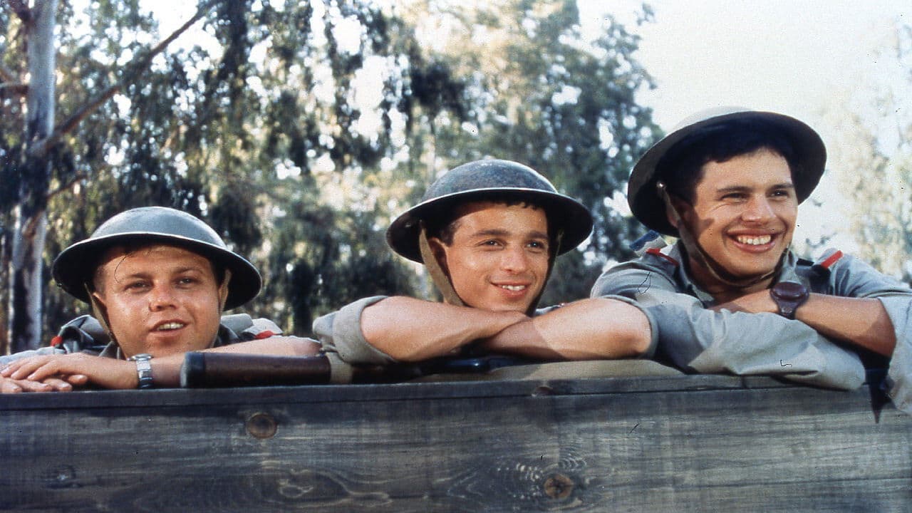 Wenn Zachi ins Manöver zieht