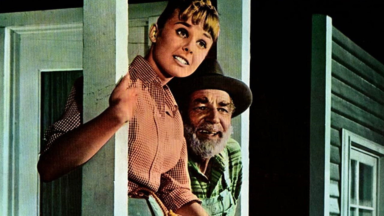 Tammy und der Millionär