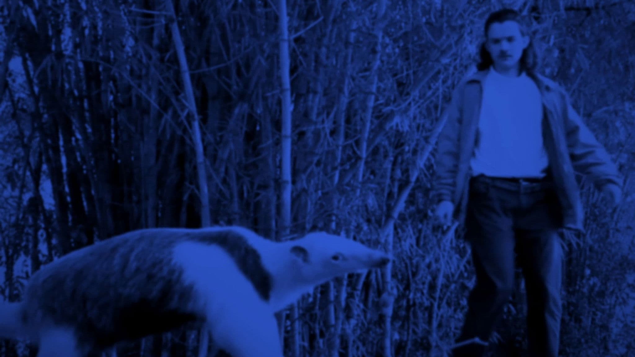 A Mais Longa das Noites