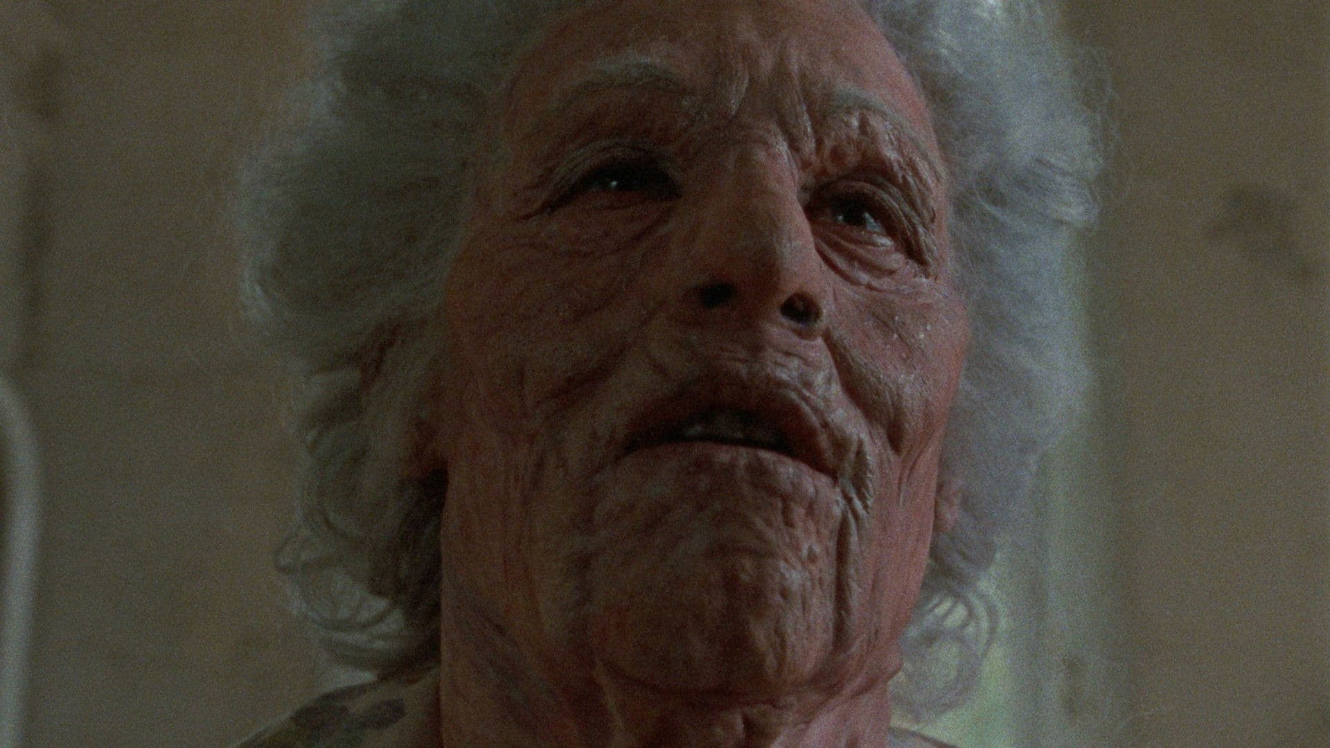 Hexenhaus - Blut für die Zombies