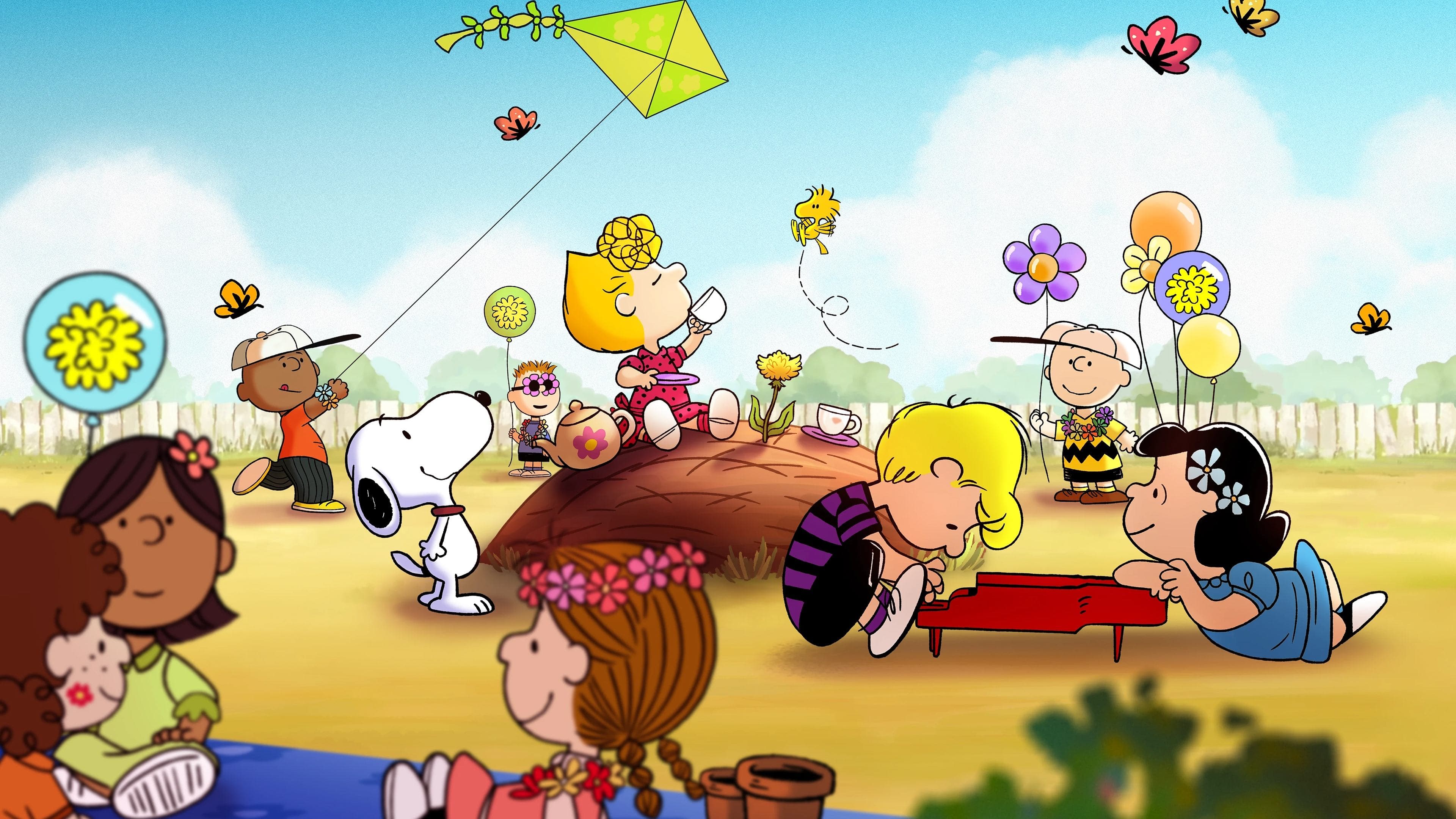 Snoopy präsentiert: Es sind die kleinen Dinge, Charlie Brown