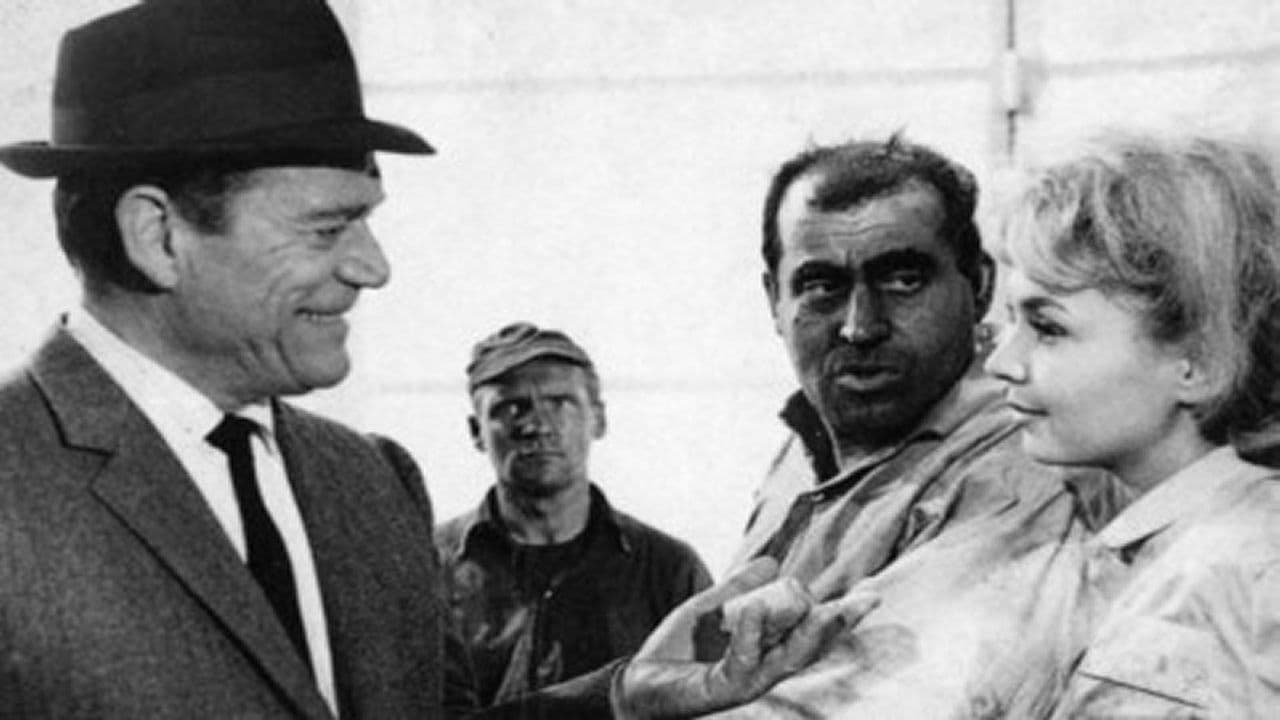 Eddie... wenn das deine Mutti wüßte