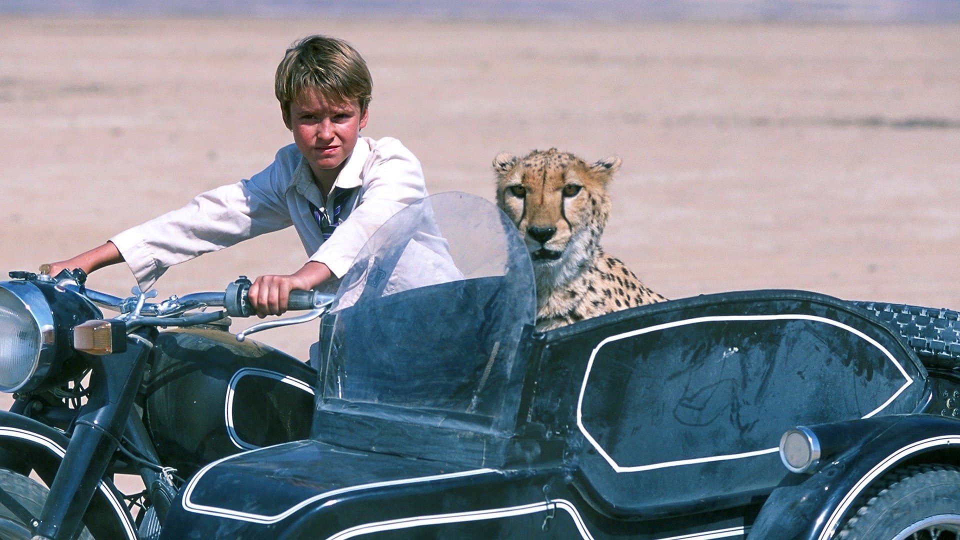 Duma - Mein Freund aus der Wildnis