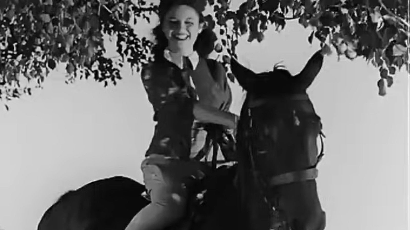 أموال اليتامى