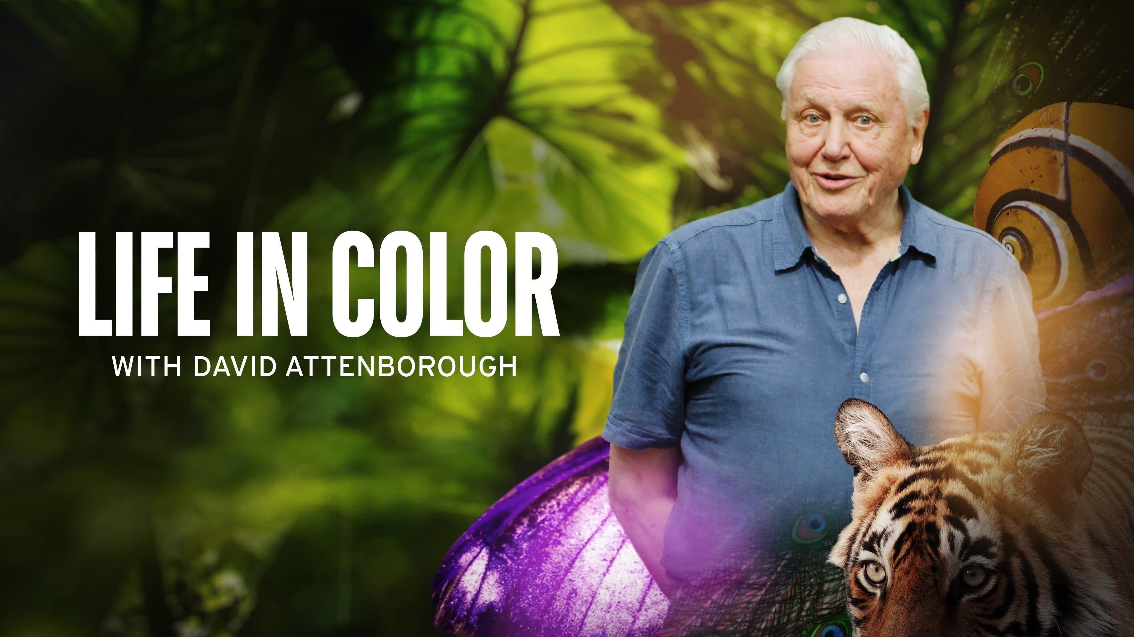 Das Leben in Farbe mit David Attenborough