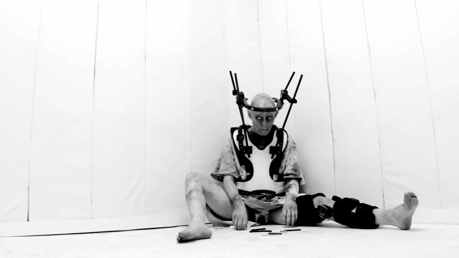 American Guinea Pig: Bloodshock