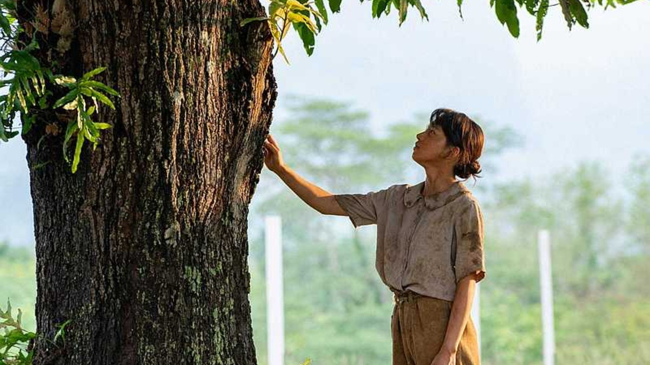 マンゴーの樹の下で〜ルソン島、戦火の約束〜