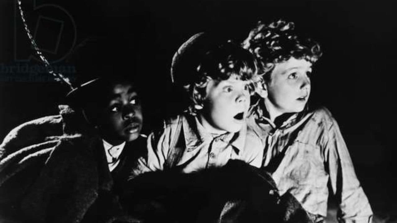 Die erste Nacht im Freien