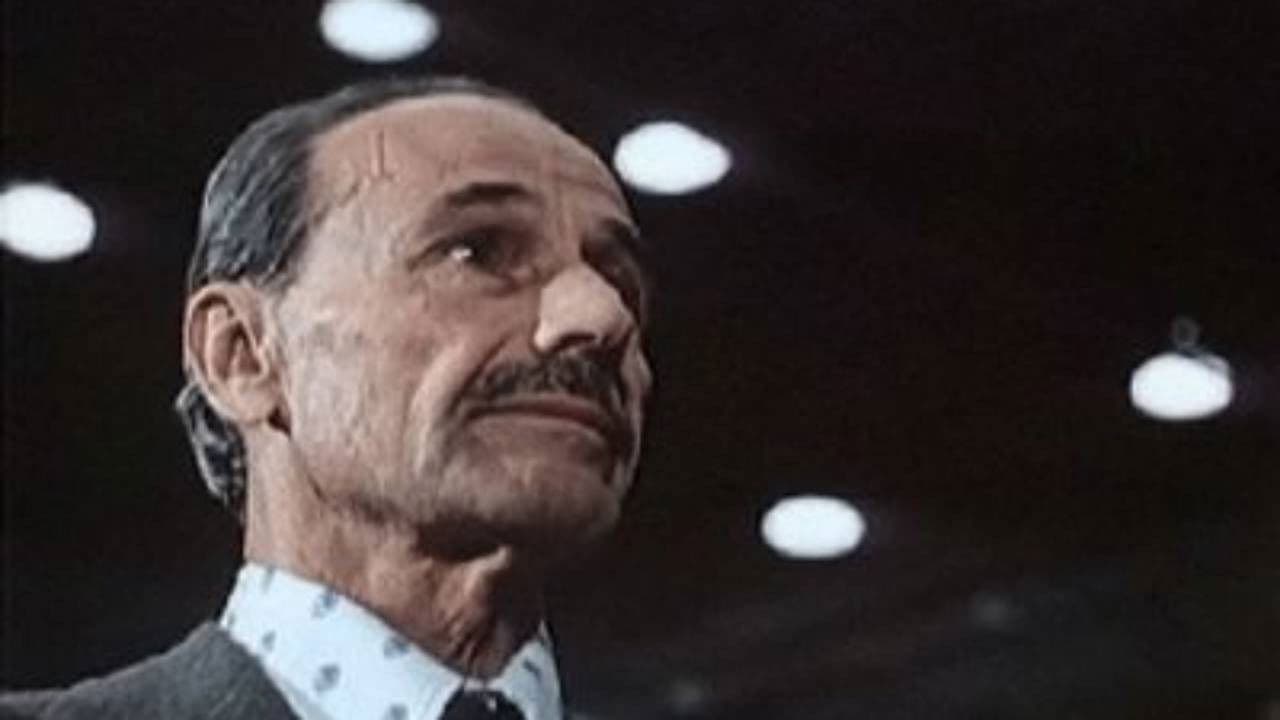 Рыцарь из Княж-городка