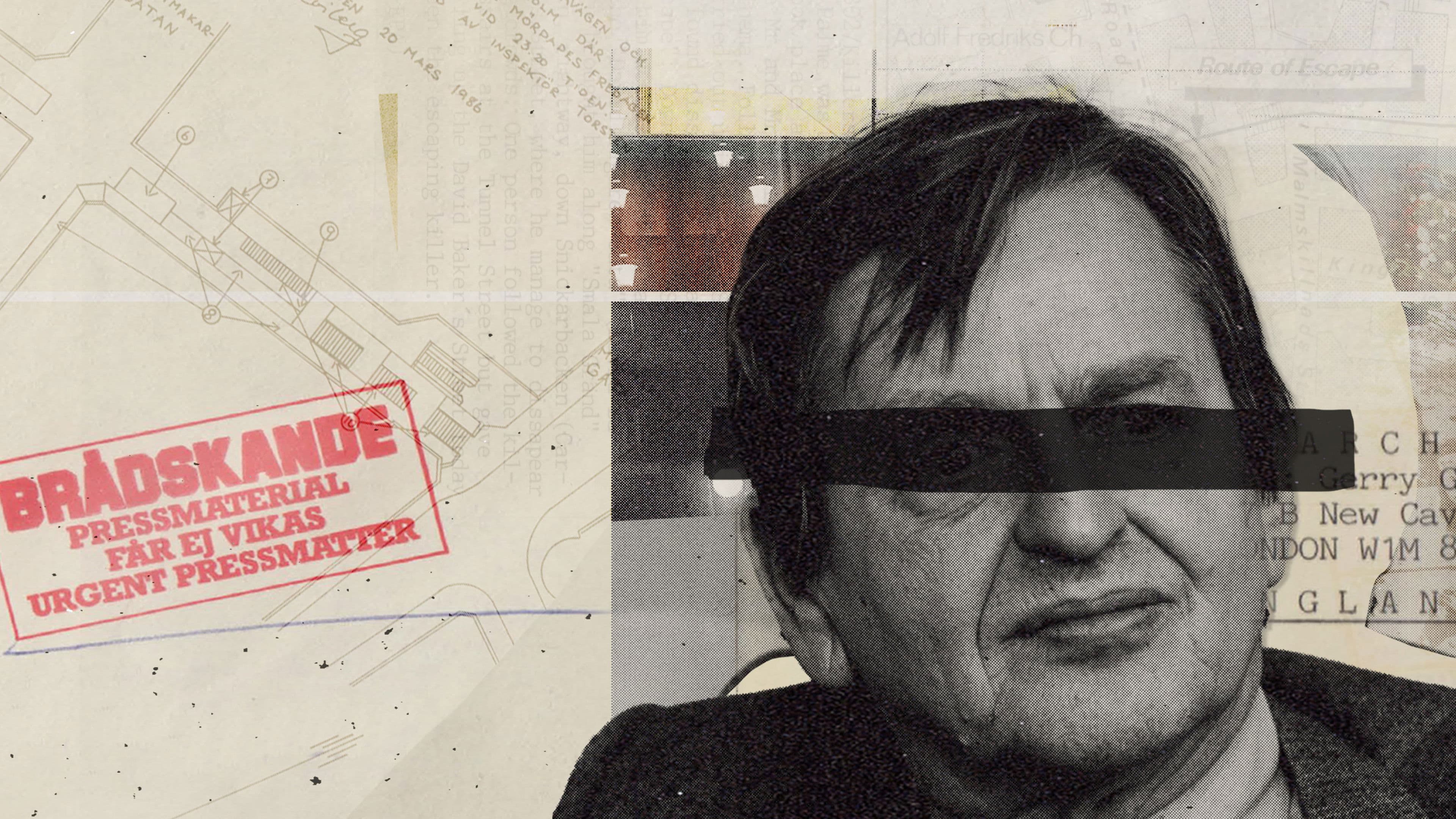 Palmemordet: Den stora mörkläggningen