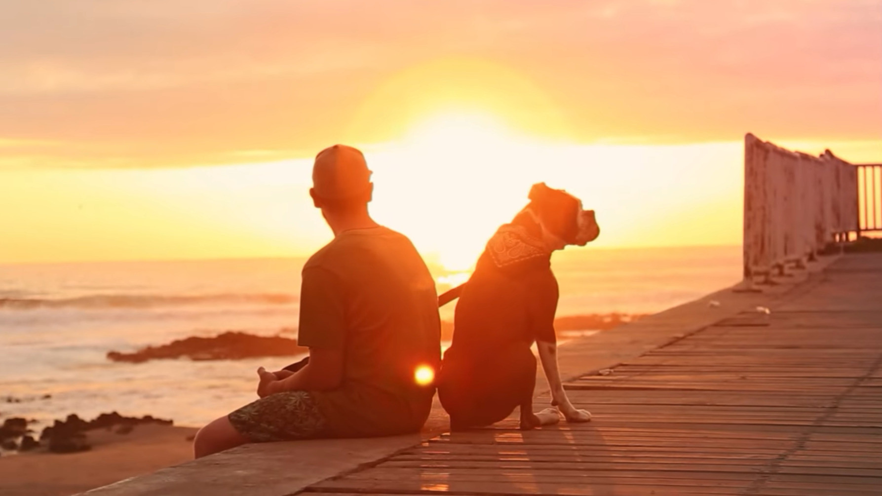 Una Visa Para Pirata