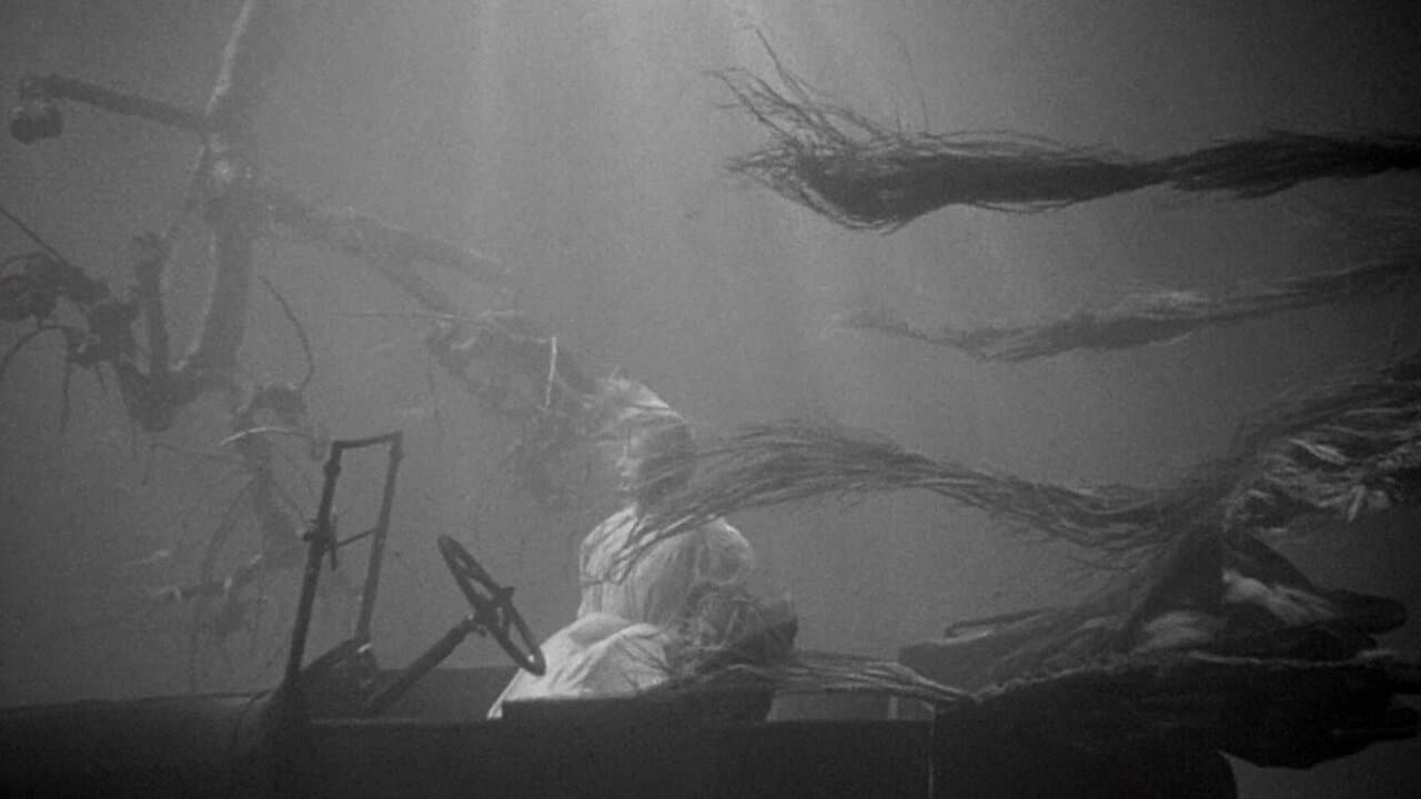 Die Nacht des Jägers