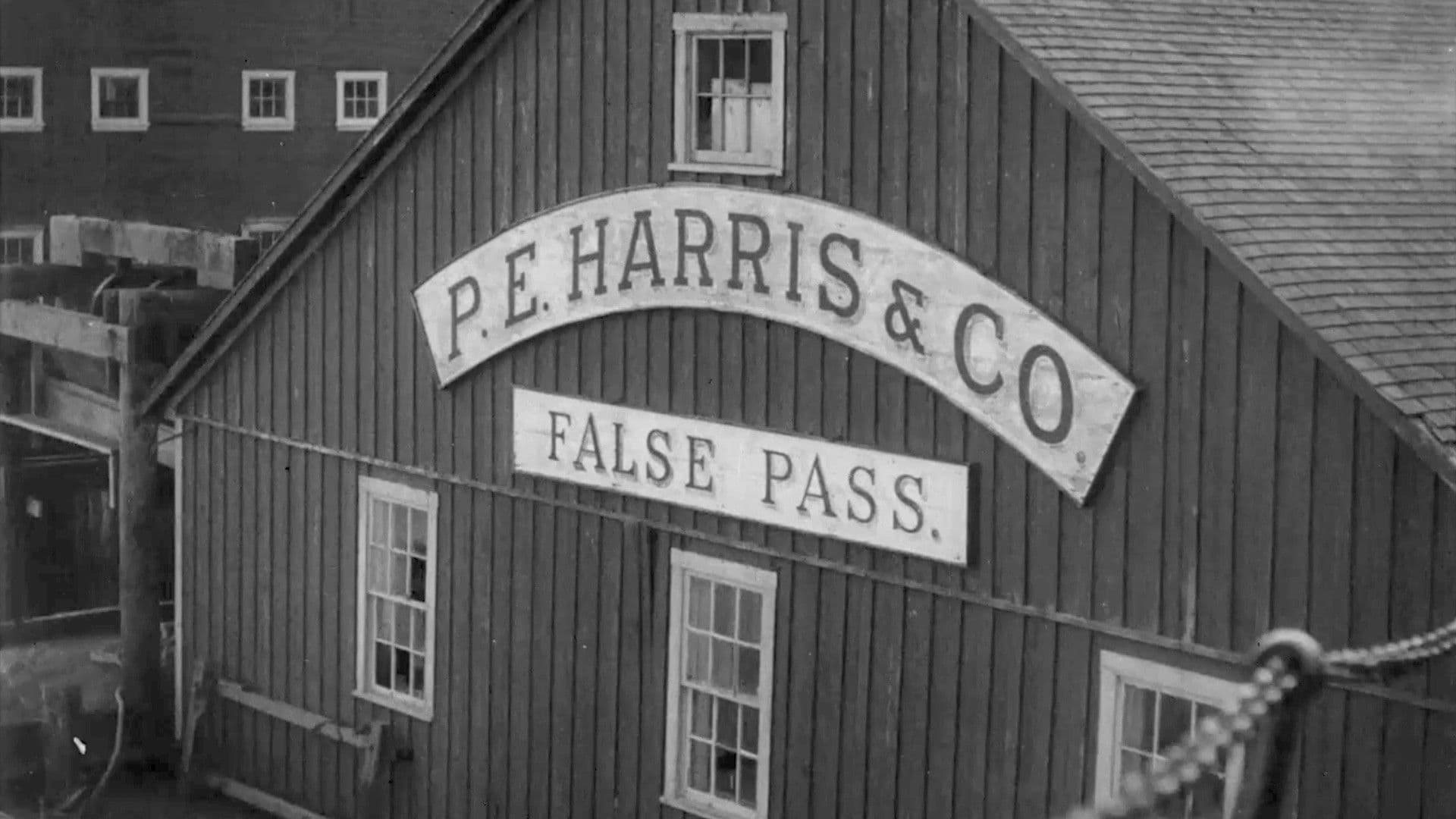 An Aleutian Adventure