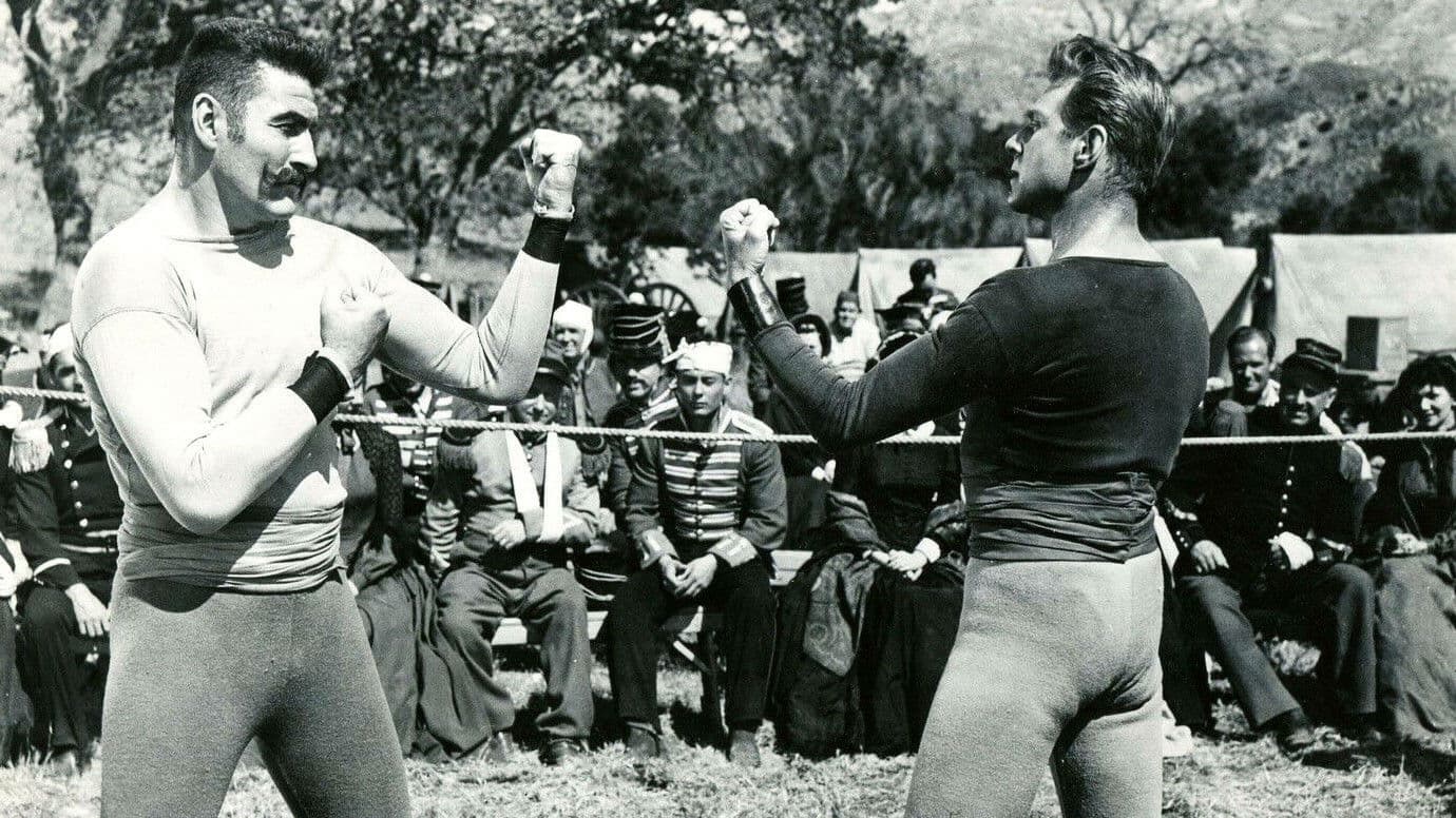 Das Zigeunermädchen von Sebastopol