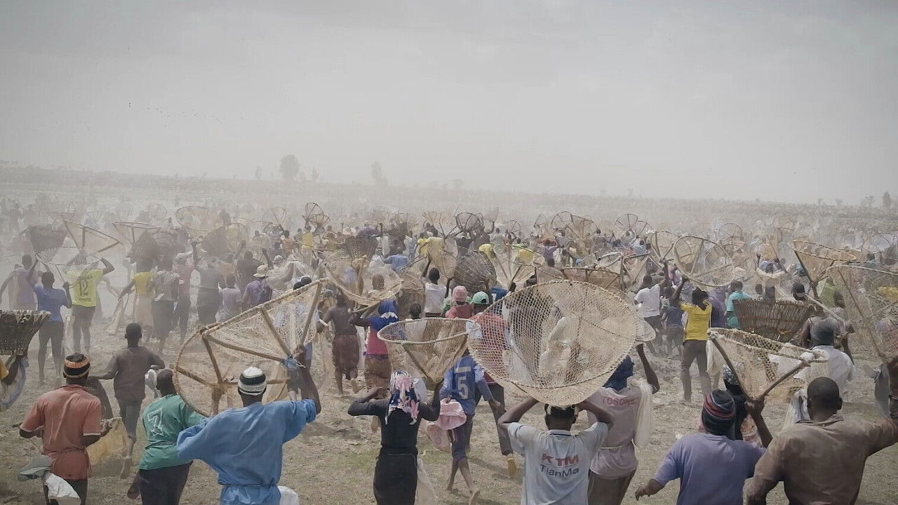 I bɔyɔrɔ, d’où viens-tu ? 